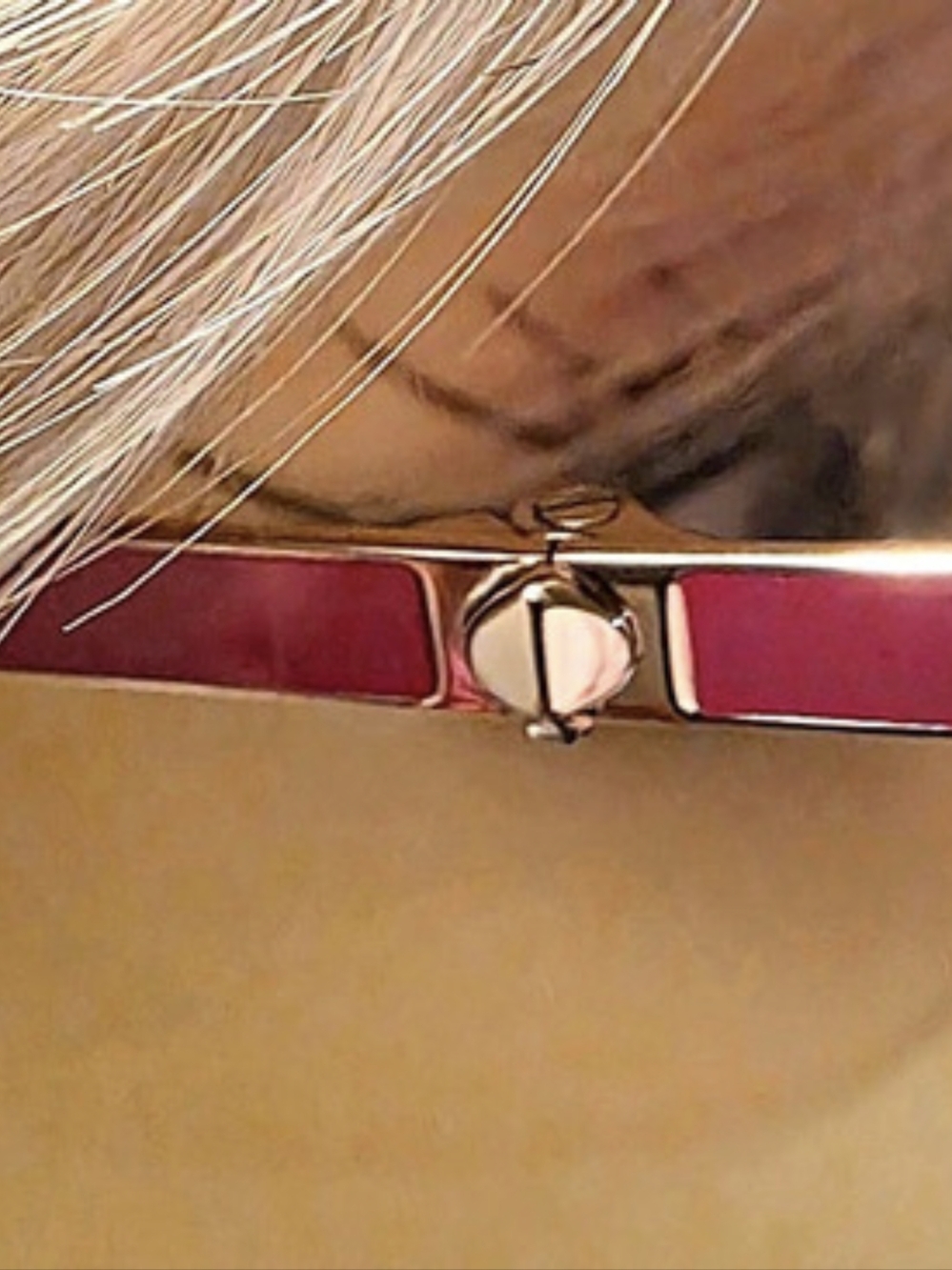 Kate Spade Ianna/G/S Cat-Eye Sunglasses Pink & Brown - Picture 4 of 8